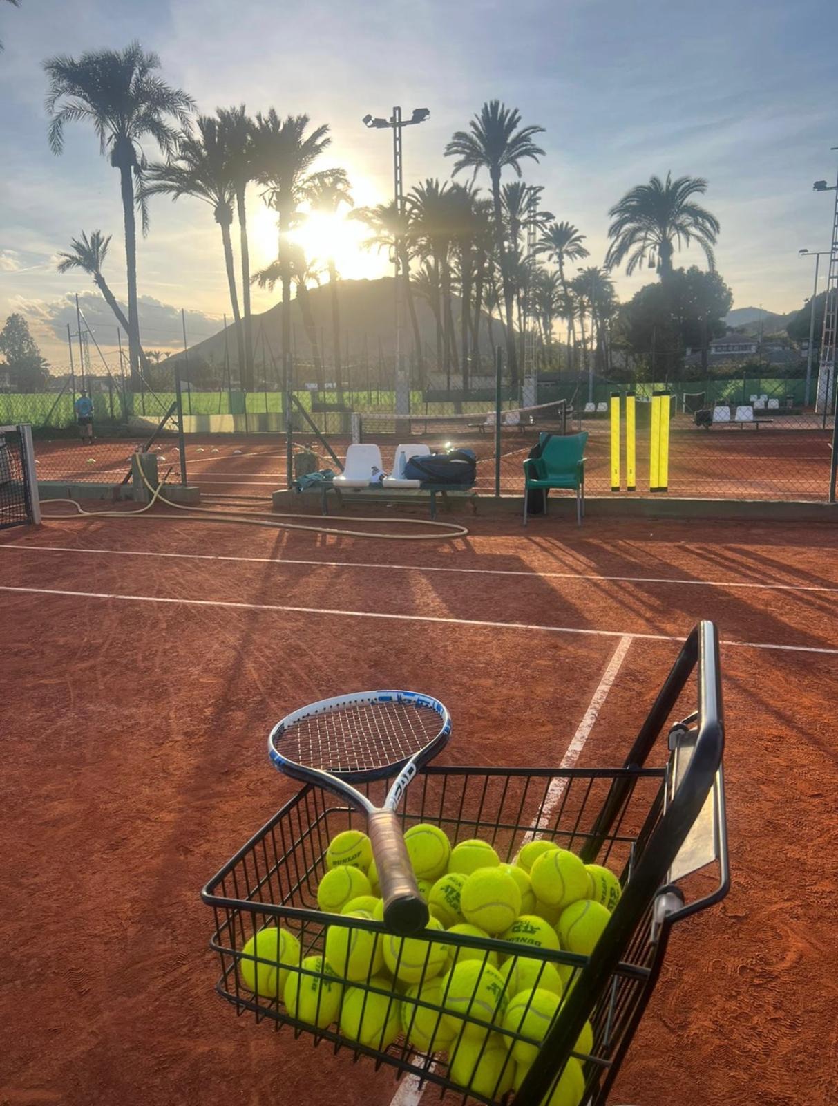 Tenis